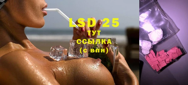 прущие грибы Алзамай