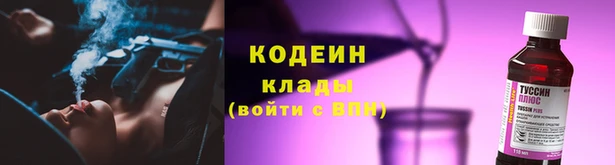прущие грибы Алзамай