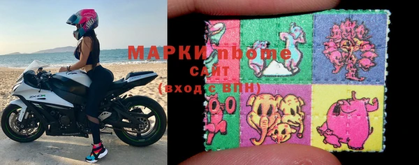 прущие грибы Алзамай